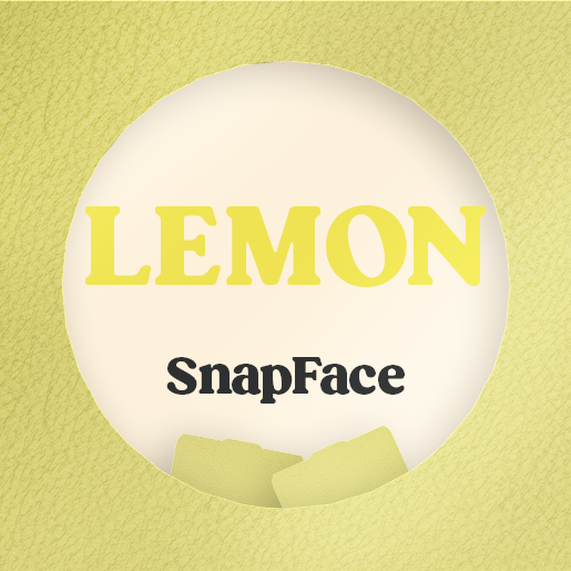 Retro Snap Interchangeable SnapFace - Lemon