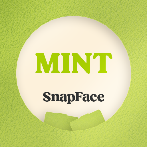 Retro Snap Interchangeable SnapFace - Mint