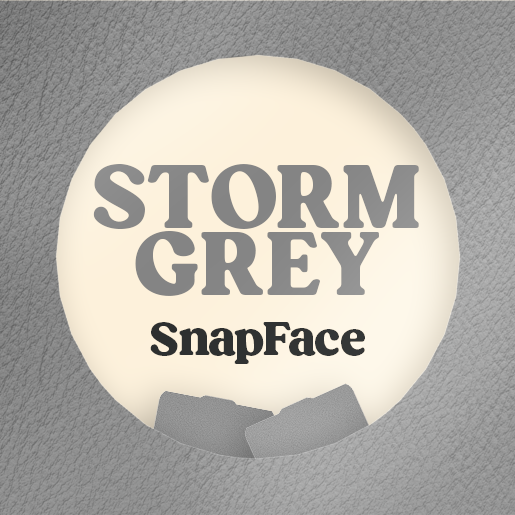 Retro Snap Interchangeable SnapFace - Ash Grey