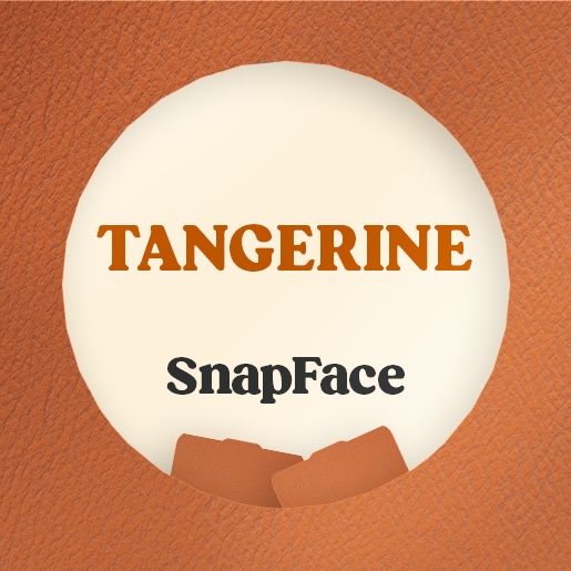 Retro Snap Interchangeable SnapFace - Tangerine