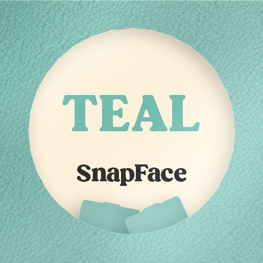 Retro Snap Interchangeable SnapFace - Teal